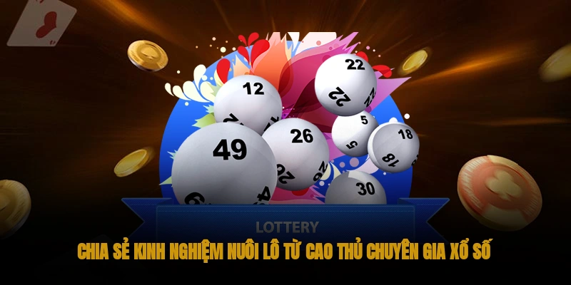 Lô Kép OKWIN: Cách đánh lô kép hiệu quả 2025 3 Kinh nghiệm nuôi lô kép từ cao thủ