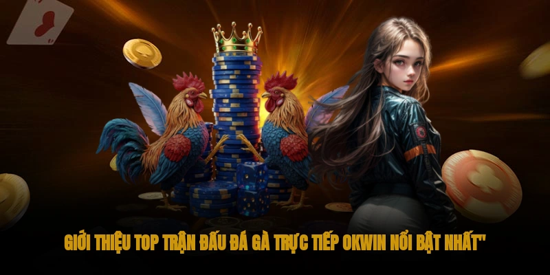 Đá gà trực tiếp OKWIN - Đẳng cấp Live đá gà châu Á 3 Top các trận đá gà trực tiếp tại OKWIN