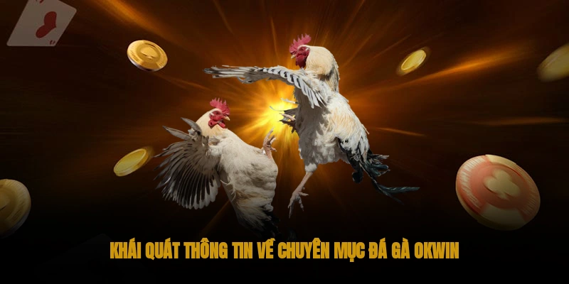 Đá gà OKWIN – Hình thức cá cược chọi gà chuyên nghiệp 1 Thông tin về chuyên mục đá gà OKWIN