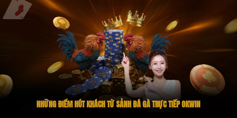 Đá gà trực tiếp OKWIN - Đẳng cấp Live đá gà châu Á 2 Những điểm thu hút khách chơi đá gà trực tiếp OKWIN