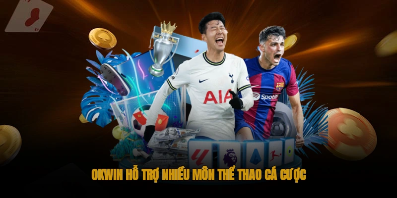 Thể Thao OKWIN : Nền tảng cá cược thể thao chuẩn quốc tế 2 OKWIN hỗ trợ cá cược nhiều môn thể thao